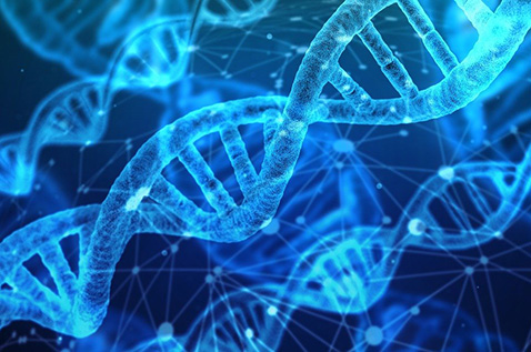 Pharmaceutical Treatment Options